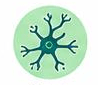Neuropathy & Nerve Disorders