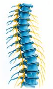 Lumbar puncture
